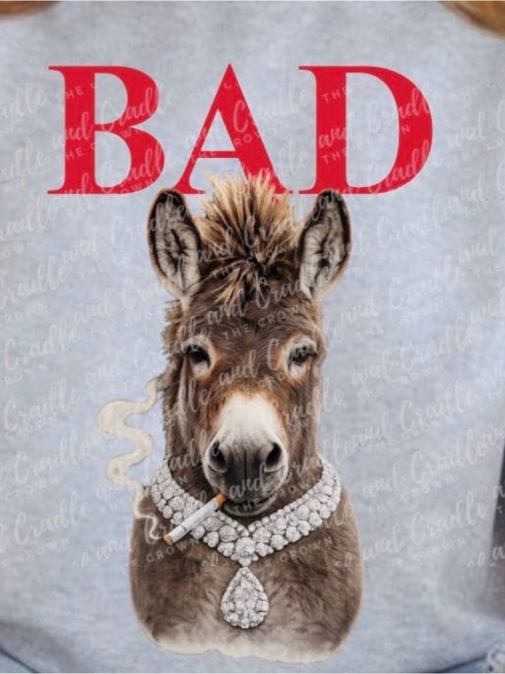 BAD Graphic Donkey Tee in Red and Gray